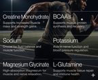 Acai Lychee Creatine+bcaa hydration